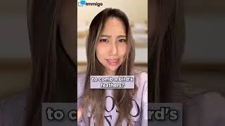 New english expressions 