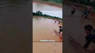 A river monster ate three sheep.