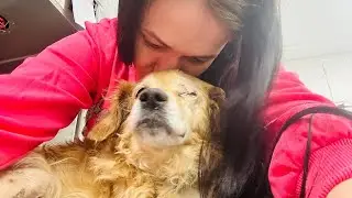 МЫ ТАК БЛИЗКИ К ЦЕЛИ - ЖИЗНЬ ..ПОДДЕРЖИТЕ ЛЬВЁНКА ПРОШУ..