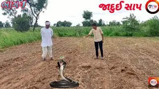 જાદુઈ સાપ || સરપંચ બન્યા જાદુઈ સાપ || jadu video || Gujju village boy