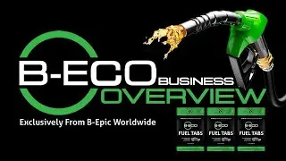 B-ECO Business Overview
