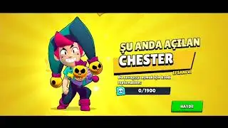 Brawl Stars Yeni Güncelleme Bedava Karakter #brawlstars  #chester  #gray
