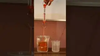 archimedes principal experiment #shorts #experiment #arkeyzone