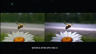 4K Premium Dark Alight Motion CC Preset 🥂
