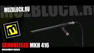 Sennheiser MKH 416 - обзор, тест