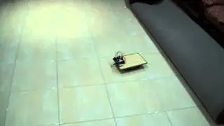 Robotank base