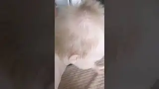 ДАВИД И КИРЮША СЛАДКУША 
