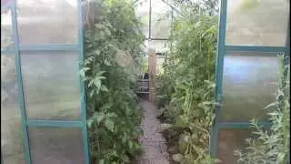 Teil 3 Gartenrundgang 07/2015