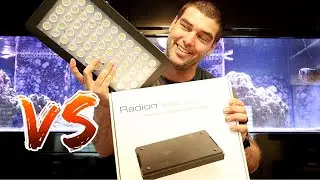 Radion Vs  Blackbbox LED reviews and comparison.