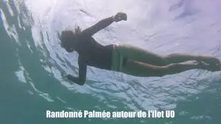 Ilot UO Taxi Tour from Noumea