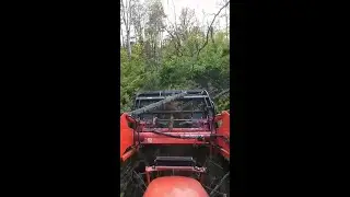 The Extreme Root Grapple came to play 💪