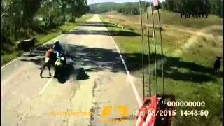 наш человек