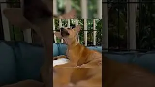 КАК ЖЕ ТАК?😭
