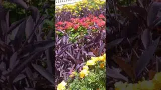 Набережная Махачкала Дагестан