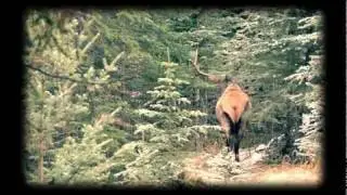 Banff: Best Things To Do