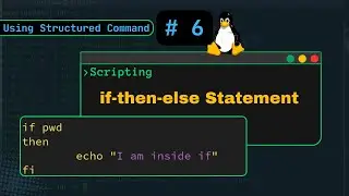 if-then, if-else, nested if and  if-elif-else statements 