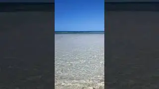 Немного свободы