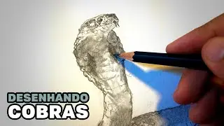 Desenhe COBRAS para aprender Linhas de Contorno, Texturas e Elipses em Perspectiva