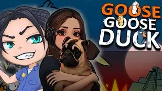 Стрим: Goose Goose Duck - КТО БОЛЬШЕ ВСЕХ КРИЧИТ.ТОТ ПРАВ?