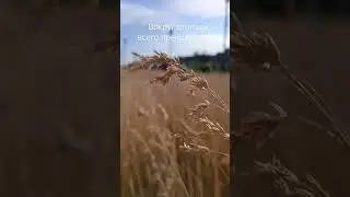 18 июня 2023 г.