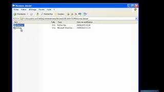 Microsoft Word 2003/2007/2010 - RTF File Stack Buffer Overflow