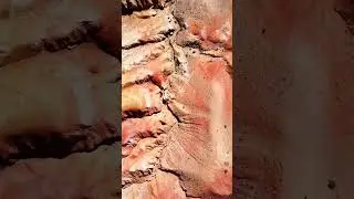 Туры в Горный Алтай 