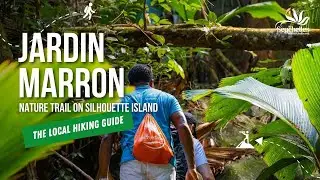 Jardin Marron Trail on Silhouette Island | The Local HIking Guide | The Seychelles Islands