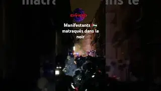 des manifestants en soutiens à Palestine matraqués dans une rue plongée dans Le noir