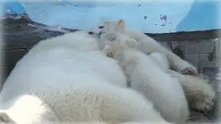 Две сестрёнки - две подружки