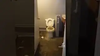 skibidi toilet 64