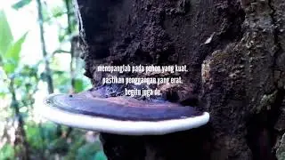 Story wa 30 detik keren kata motivasi