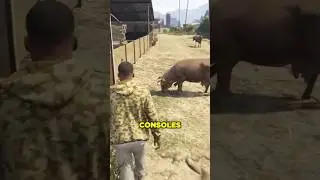 GTA Online finally adds animals from story mode 