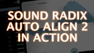 Sound Radix Auto Align 2 In Action