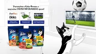 Акция Felix «Кубок Феликса 2018»