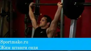 Жим штанги сидя