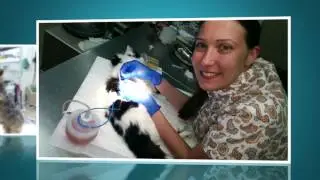 с Днем ветеринарного врача!