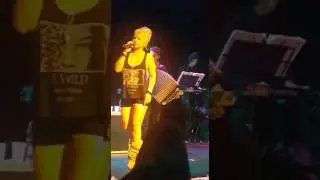 TU FOTOGRAFÍA / DALILA (EN VIVO)