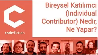 507 - Bireysel Katılımcı Individual Contributor Nedir, Ne Yapar?