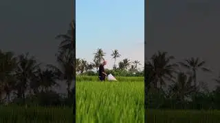 Хороший зонт мочить не будешь