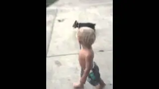 Maxwell is walking Tuli