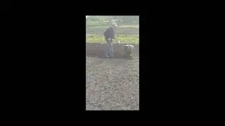 Окучивание