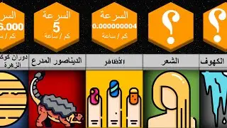 أبطأ الأشياء و الكائنات في العالم