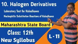 L - 11 | Halogen Derivatives | Class 12 | Maharashtra Board | Laboratory test | Chemical Properties