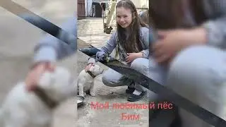 9 вересня 2024 р.