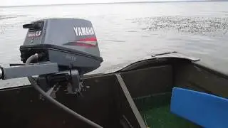 Ямаха-8, 2т., (на воде)