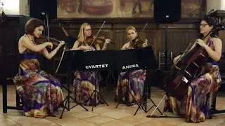 With or Without You - Cvartet Anima - U2