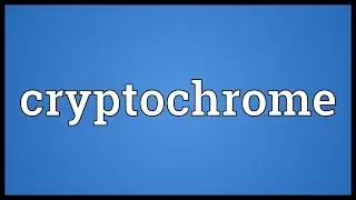 Cryptochrome Meaning