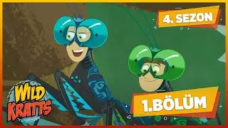 Kratt Kardeşler | 4. Sezon 1. Bölüm | Çizgi Film | minikaGO
