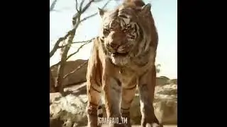 Мнстр глубины 🍿2 Гозила против Конга 🍿3.Мауги 🍿4. аступник 🍿5. Дэдпул 2(5)