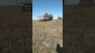 Сенокос,работа